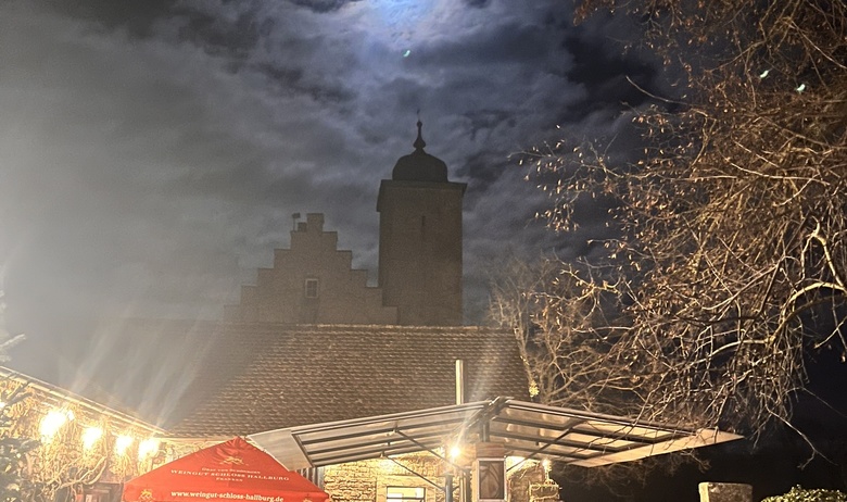 Martina_Kuehl_-_Gluehweinparty_Schloss_Hallburg.JPEG