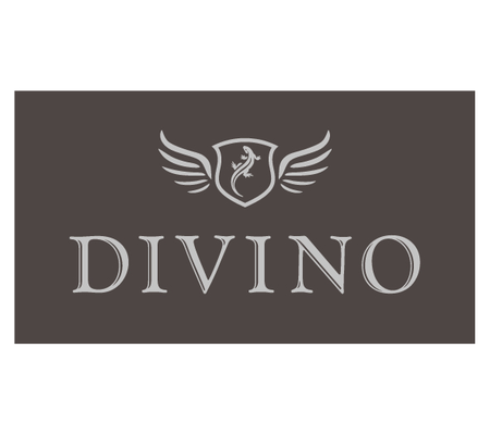 Logo_DIVINO.png