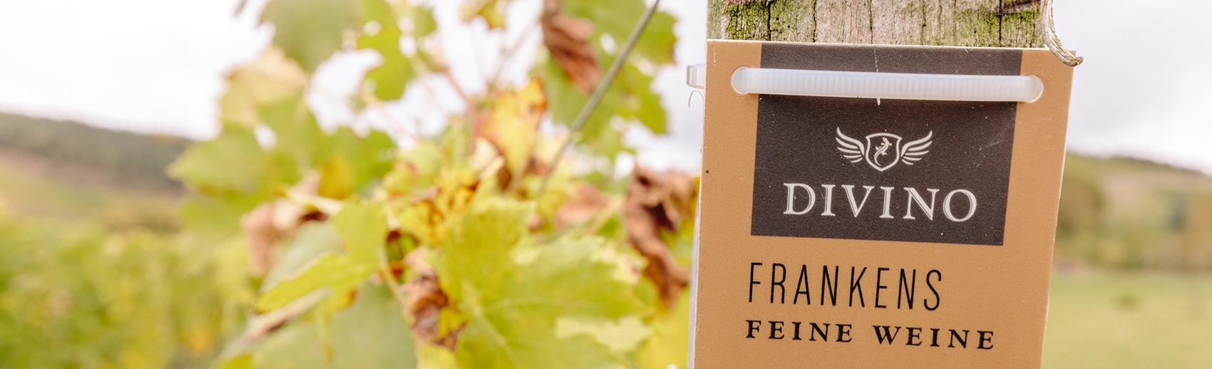 Weinlaub im Vordergrund neben einem Schild „Diveno Frankens Feine Weine"