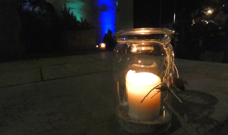 Escherndorfer_Winternacht_Foto_Irene_Konrad.JPG